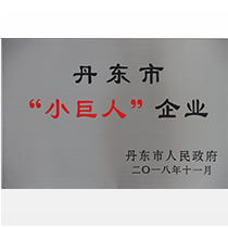 小巨人企业